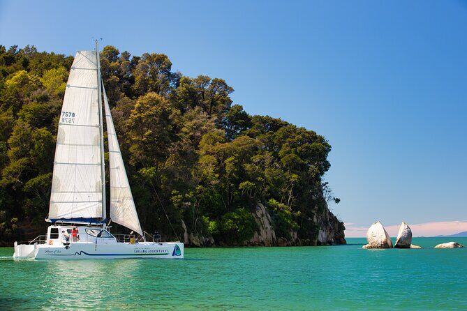 Sail, Seals, and Walk Tour in Abel Tasman - Who is This Tour For?