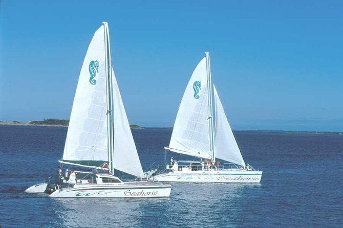 sail-snorkel-adventure-with-1-hr-open-bar