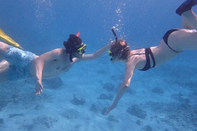 sail-snorkel-for-cruise-ship-passengers