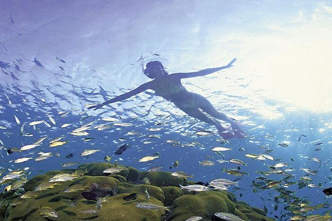 sail-snorkel-for-cruise-ship-passengers