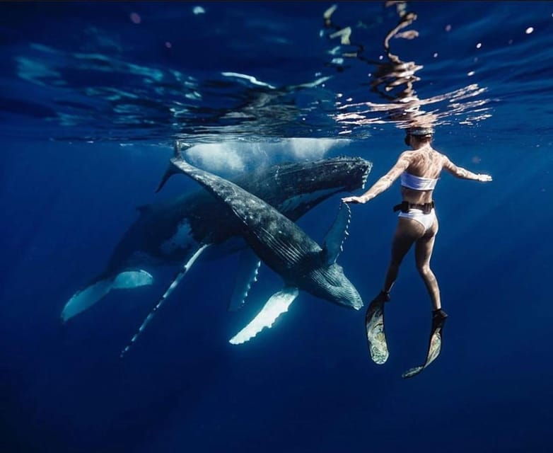 sail-the-canaries-nature-culture-and-culinary-delights