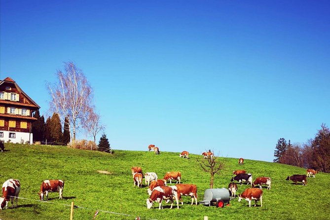 sail-to-basel-and-then-explore-either-bern-luzern-zurich-or-the-swiss-alps