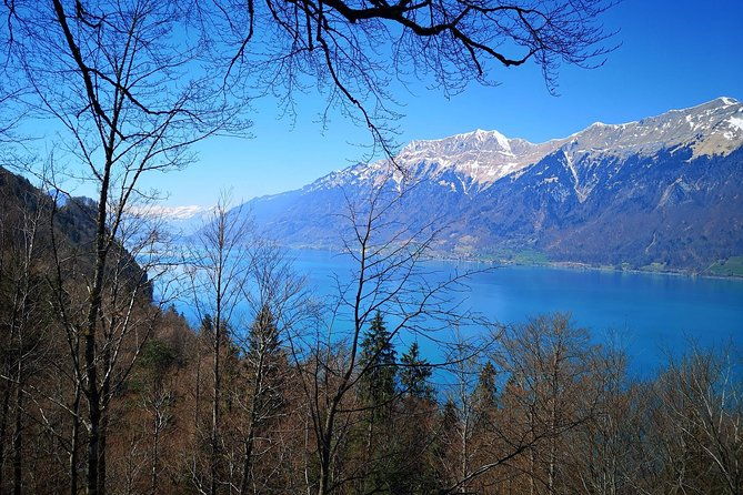 sail-to-basel-and-then-explore-either-bern-luzern-zurich-or-the-swiss-alps