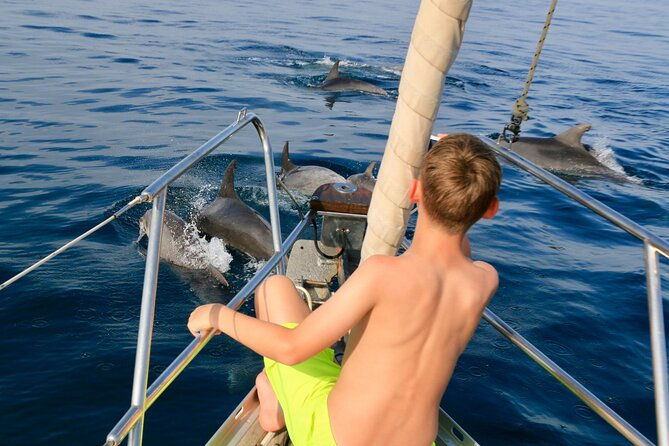 sailing-boat-always-private-always-by-sail-search-for-dolphins