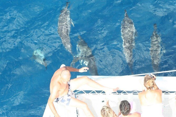 Sailing Catamaran Cruises - What to Expect from the Mauritius Catamaran Cruise