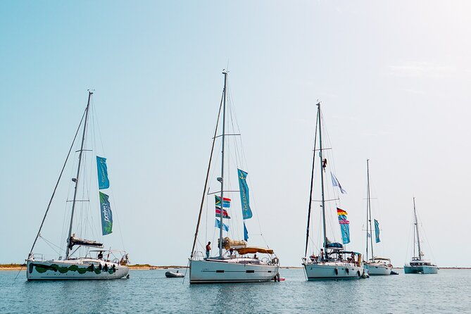 sailing-experience-in-lisbon-portugal