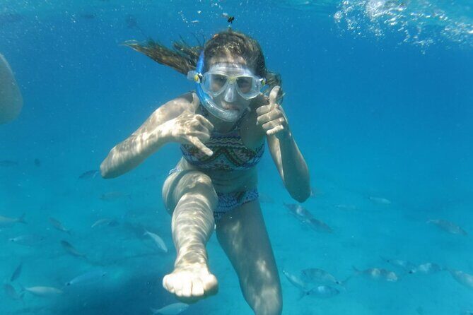 Sailing tour around the Lobos Island Natural Park / 4h - Who Would Love This Tour?