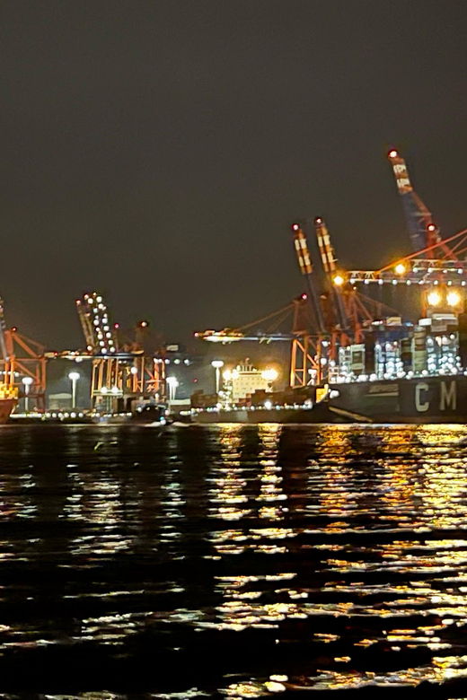 sailing-trip-the-elbe-by-night-hamburg-elbe