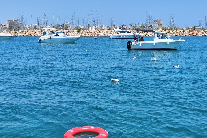 Sailing with sunset and swimming in the sea - FAQ