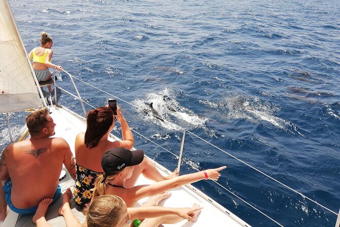 Sailing yacht half day- with Cape Verde Sailing - Detailed Breakdown of the Experience