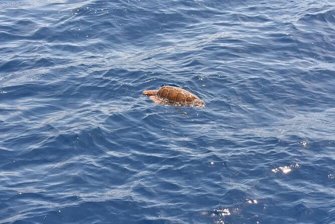 sailing-yacht-on-a-private-charter-3