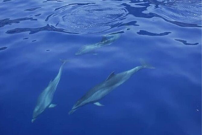 sailing-yacht-on-a-private-charter-4