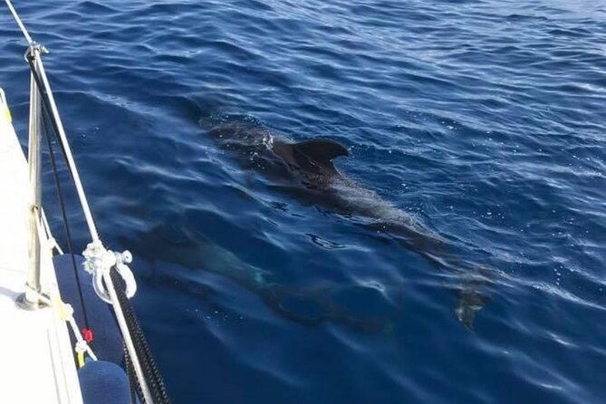 sailing-yacht-on-a-private-charter-4