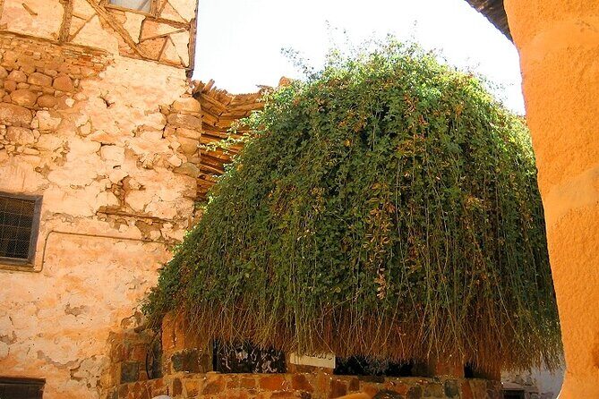 Saint Catherine's Monastery And Dahab Day Tour - Sharm El Sheikh - Final Word