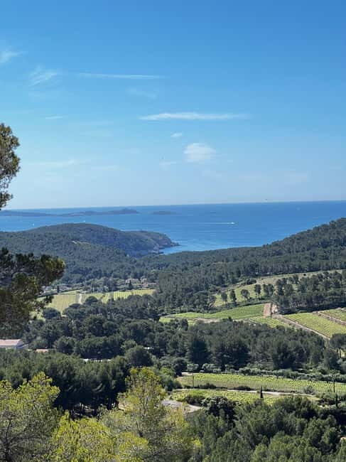Saint-Cyr-sur-mer: guided hike to the Sand Dune - A Detailed Look at the Saint-Cyr-sur-Mer Sand Dune Guided Hike
