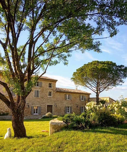 Saint-Didier: visit a winery & taste organic wines - The Scenic Vineyard Tour