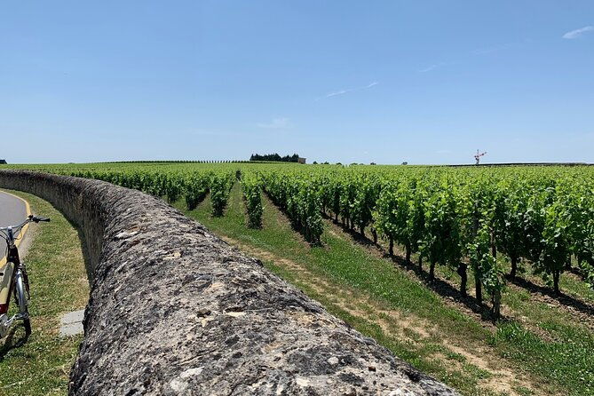 saint-emilion-afternoon-tour-2-wineries-tastings-delicacies