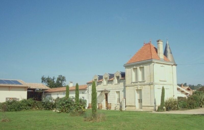 Saint-Émilion: Family Vineyard Visit with Wine Tasting - Practical Details That Matter  
