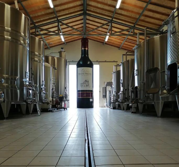 Saint-Émilion: Family Vineyard Visit with Wine Tasting - Final Thoughts  