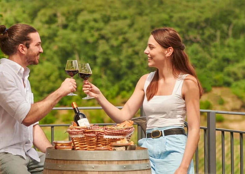 Saint-Emilion: Grand Cru Classé Guided Winery Visit & Picnic - A Detailed Look at the Experience