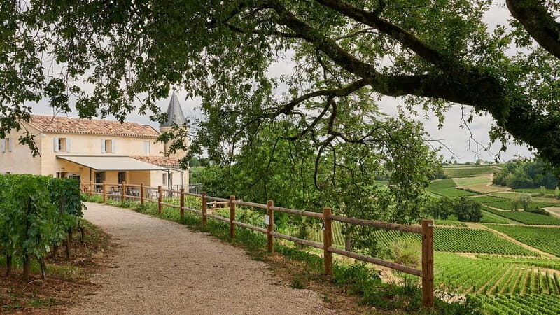 Saint-Emilion: Grand Cru Classé Guided Winery Visit & Picnic - FAQs