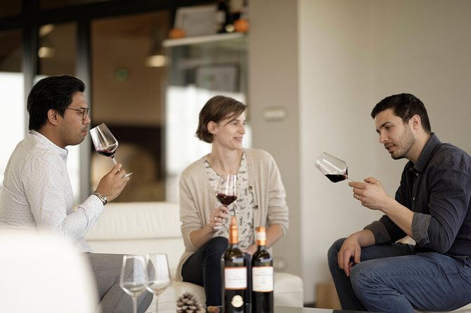 saint-emilion-grand-cru-classe-visit-tasting-in-english