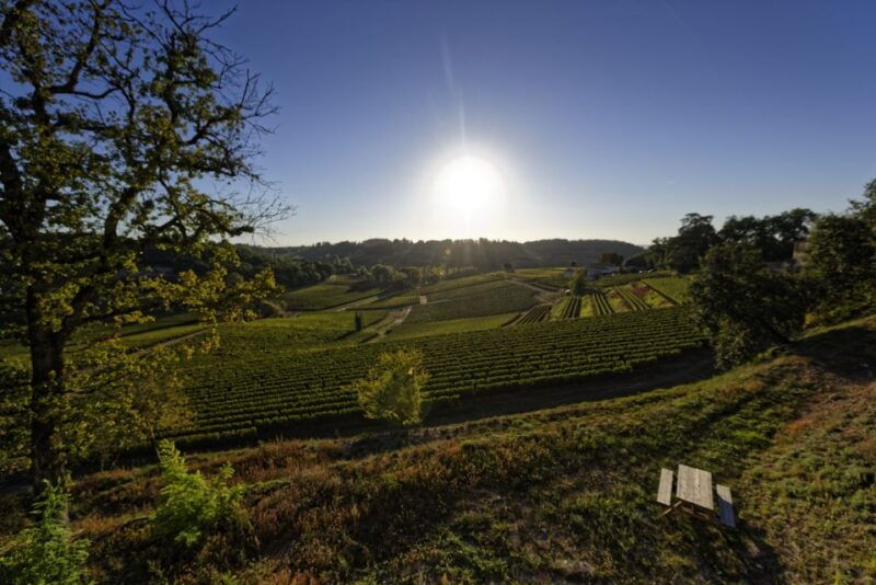 saint-emilion-grand-cru-classe-winery-visit-and-tasting
