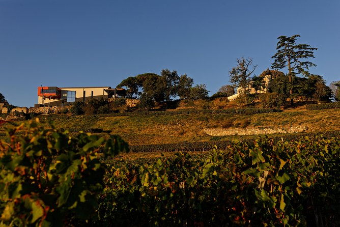 saint-emilion-grand-cru-classified-gourmet-tour-in-french