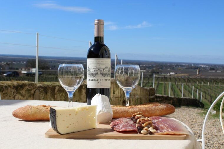 saint-emilion-half-day-ebike-and-wine-tour-with-picnic