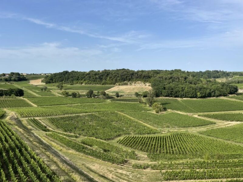saint-emilion-half-day-wine-tour-into-classified-estates