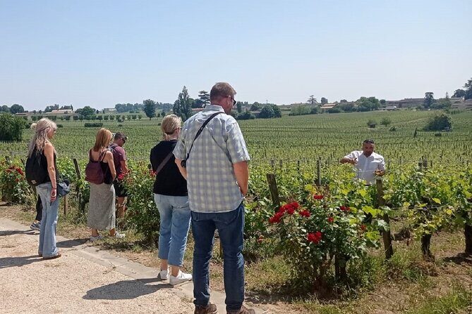 Saint Emilion Morning Wine Tour - Winery & Tastings from Bordeaux - Final Thoughts