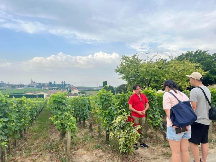 saint-emilion-pomerol-full-day-private-tour-in-a-classic-car