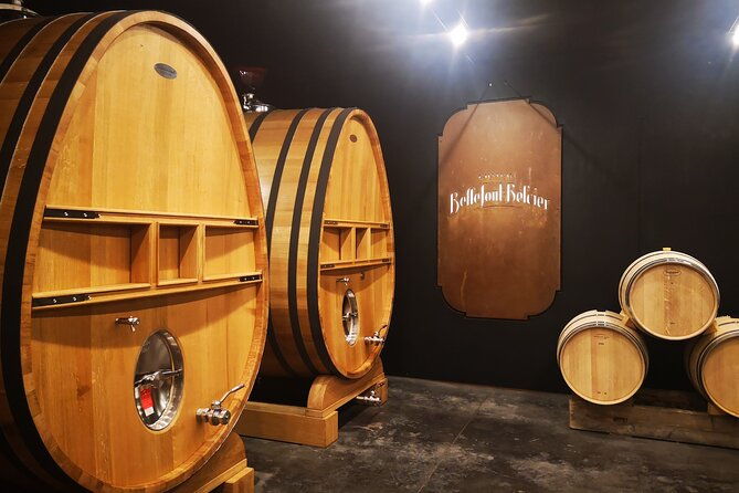 saint-emilion-private-full-day-wine-tour-from-bordeaux-2