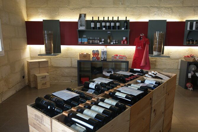 saint-emilion-private-full-day-wine-tour-from-bordeaux