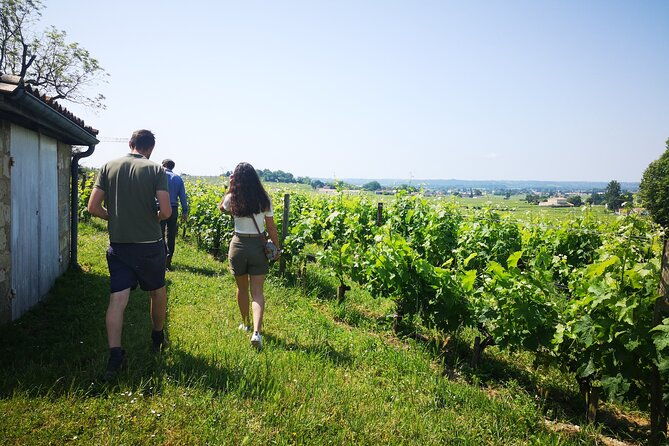 saint-emilion-private-full-day-wine-tour-from-bordeaux