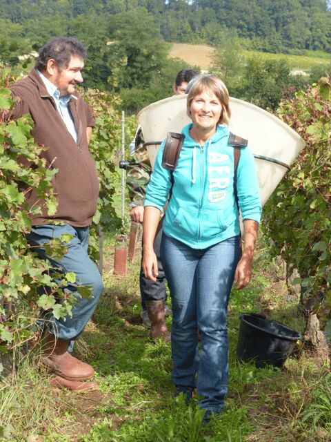Saint-Emilion : Tasting of 4 wines in a family vineyard - Practical Details