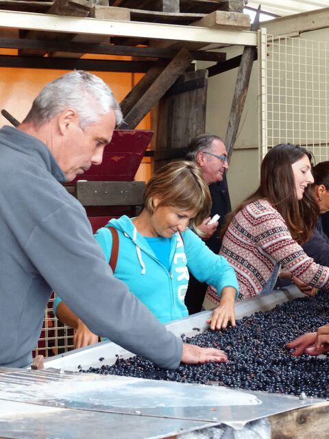 Saint-Emilion : Tasting of 4 wines in a family vineyard - FAQs