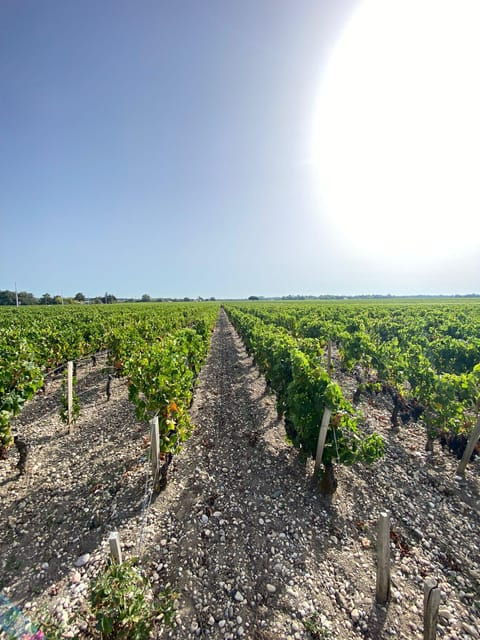 saint-emilion-village-visiting-chateaux-wine-tasting