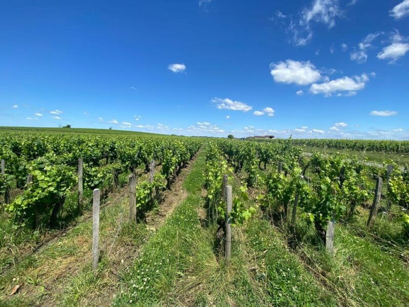 saint-emilion-village-visiting-chateaux-wine-tasting