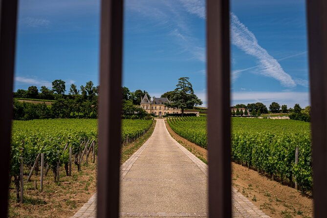 saint-emilion-wine-tour-by-electric-bike-lunch-included