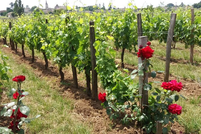 saint-emilion-wine-tour-half-day