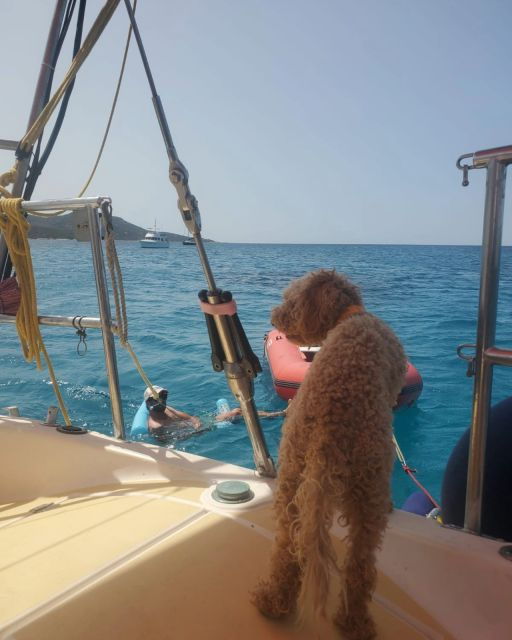 saint-florent-sailing-excursions-with-sailingmaures