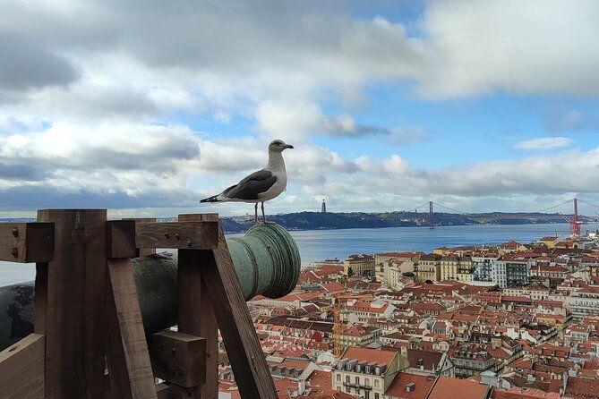 saint-george-castle-guided-tour-from-lisbon-3