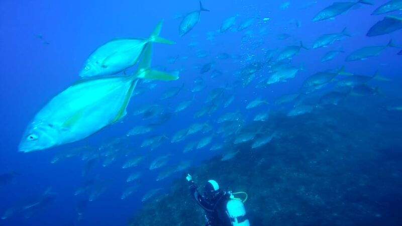 saint-george-scuba-diving-2-dives-half-day