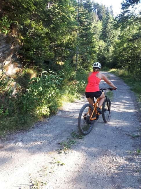 Saint-Georges d'Hurtières: Guided electric mountain bike tour (Enduro) - Key Points
