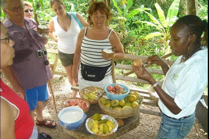 saint-lucia-cultural-immersion-experience