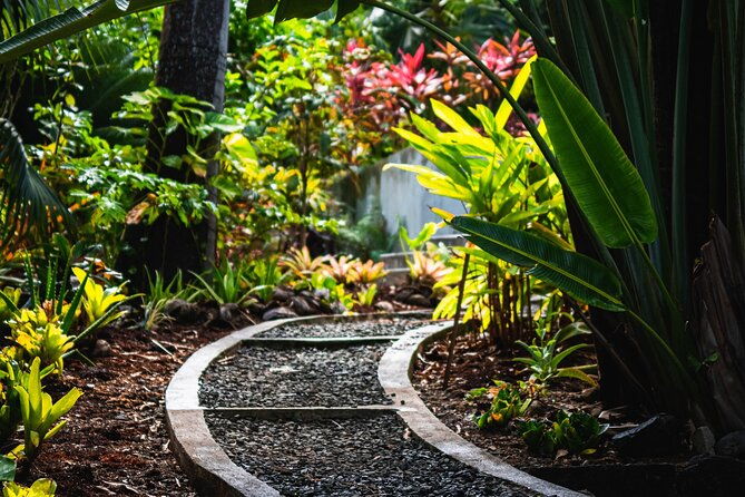 saint-lucia-cultural-immersion-experience