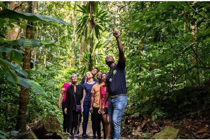 saint-lucia-cultural-immersion-experience