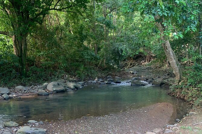 saint-lucia-cultural-immersion-experience