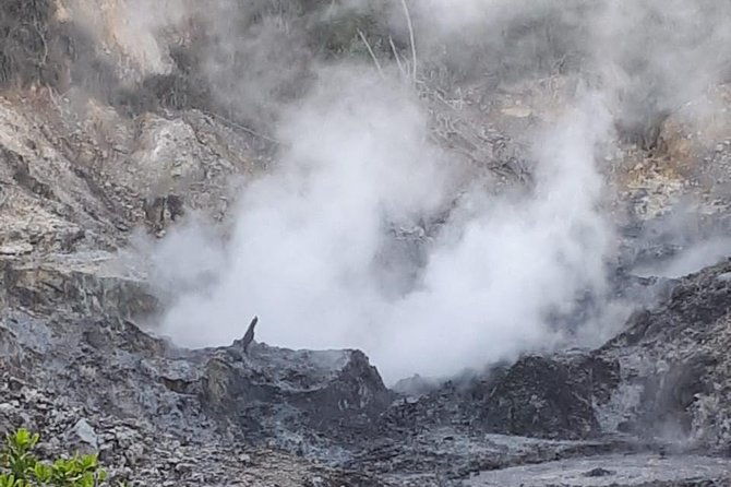 saint-lucia-sulphur-springs-rejuvenating-mud-bath-tour